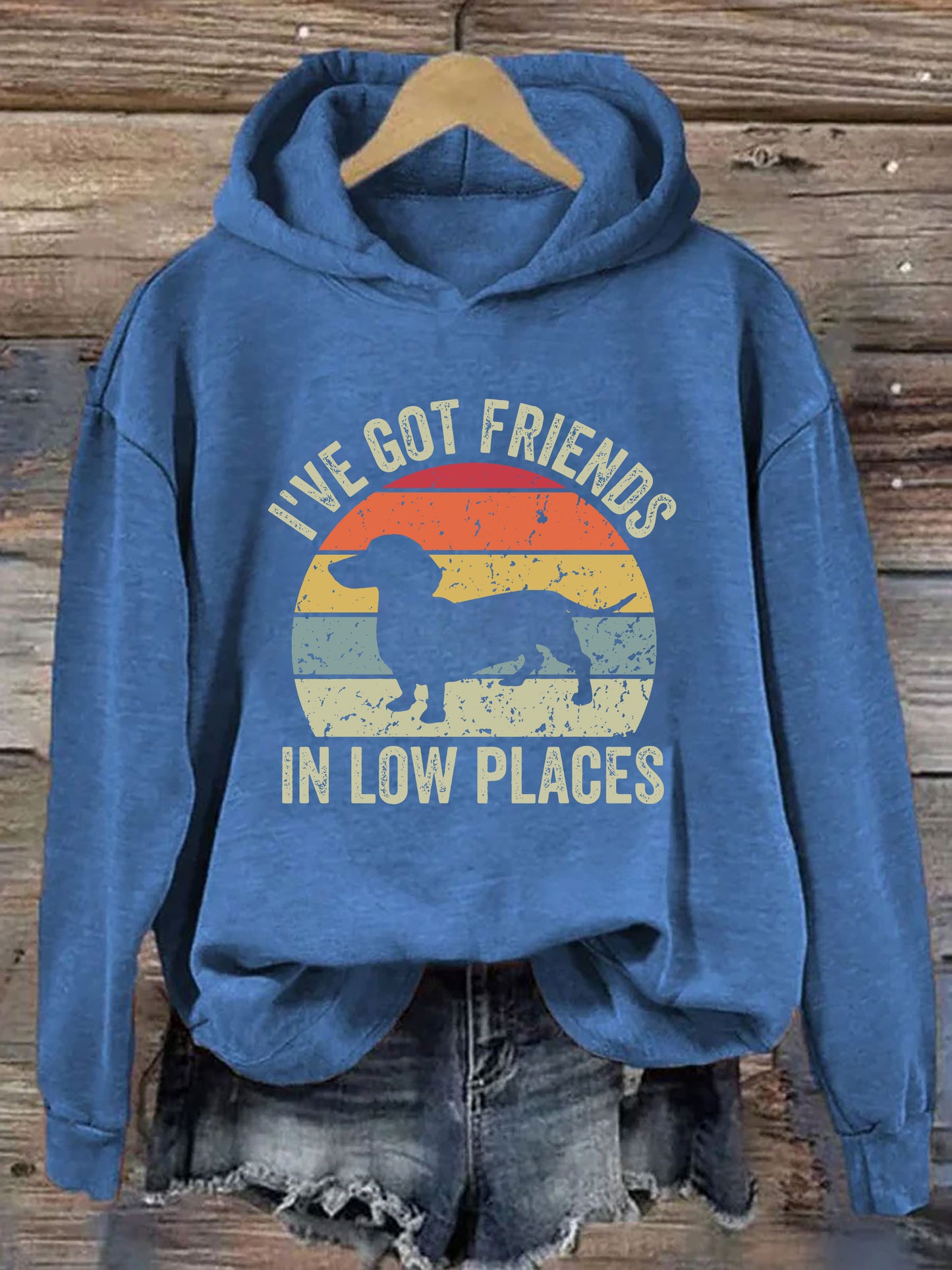 I've Got Friends In Low Places Hoodie