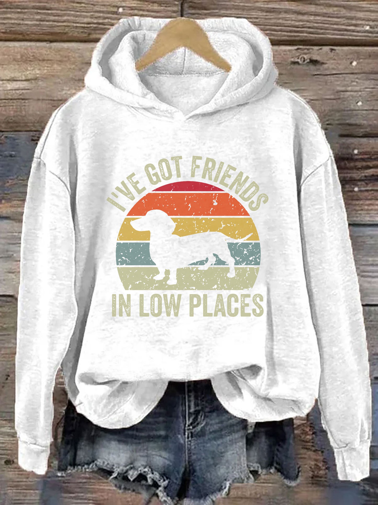 I've Got Friends In Low Places Hoodie