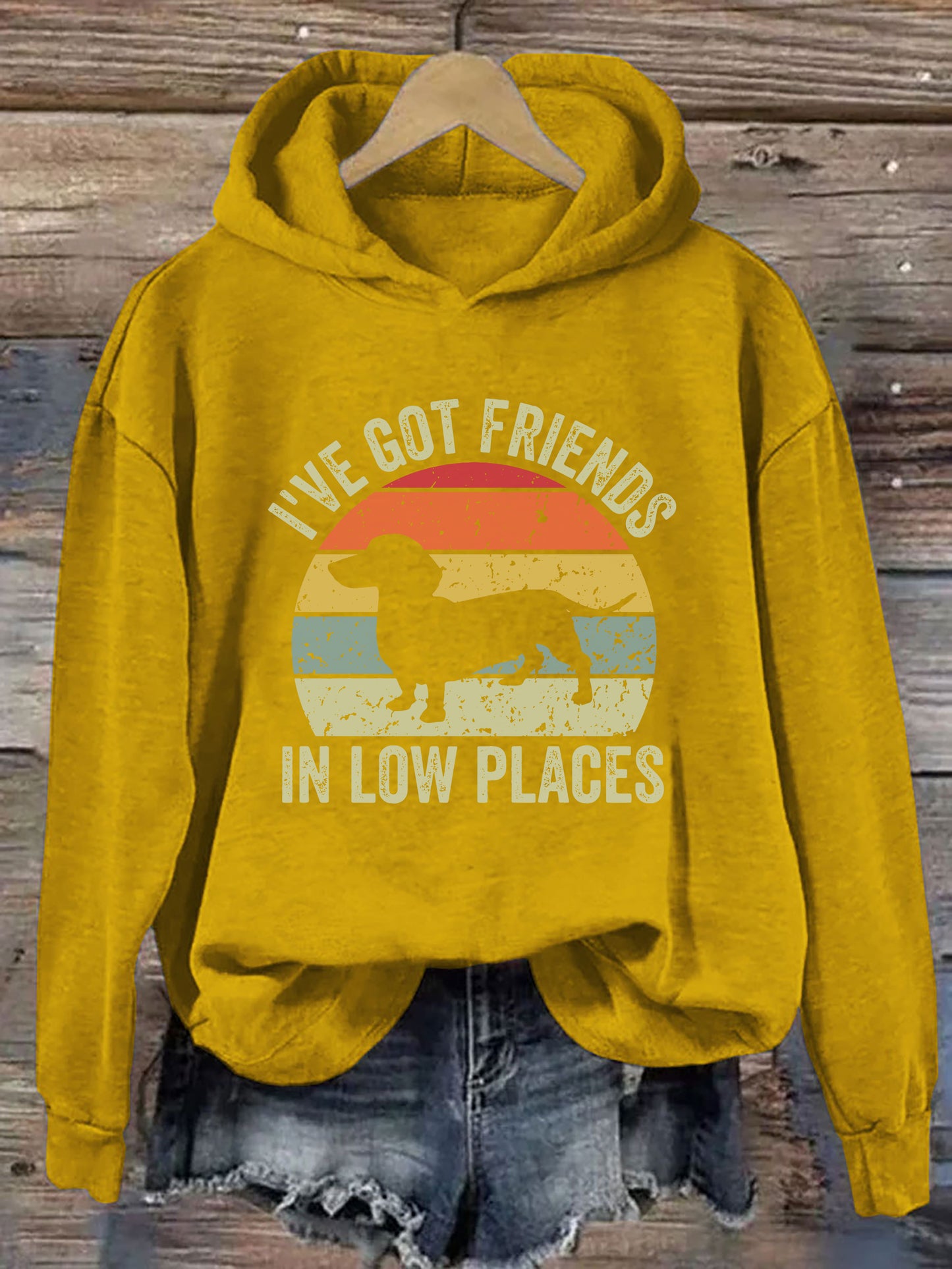 I've Got Friends In Low Places Hoodie