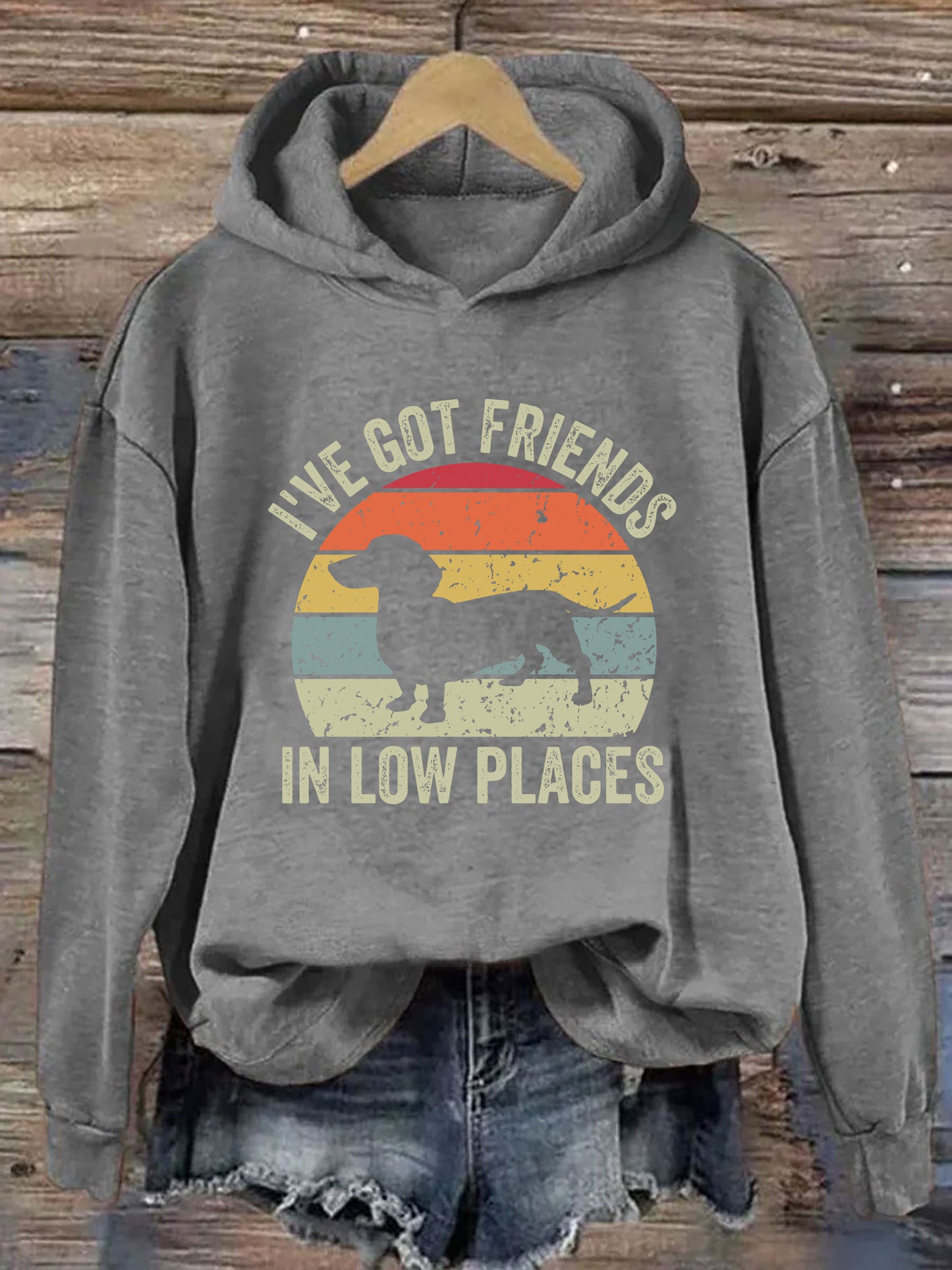 I've Got Friends In Low Places Hoodie