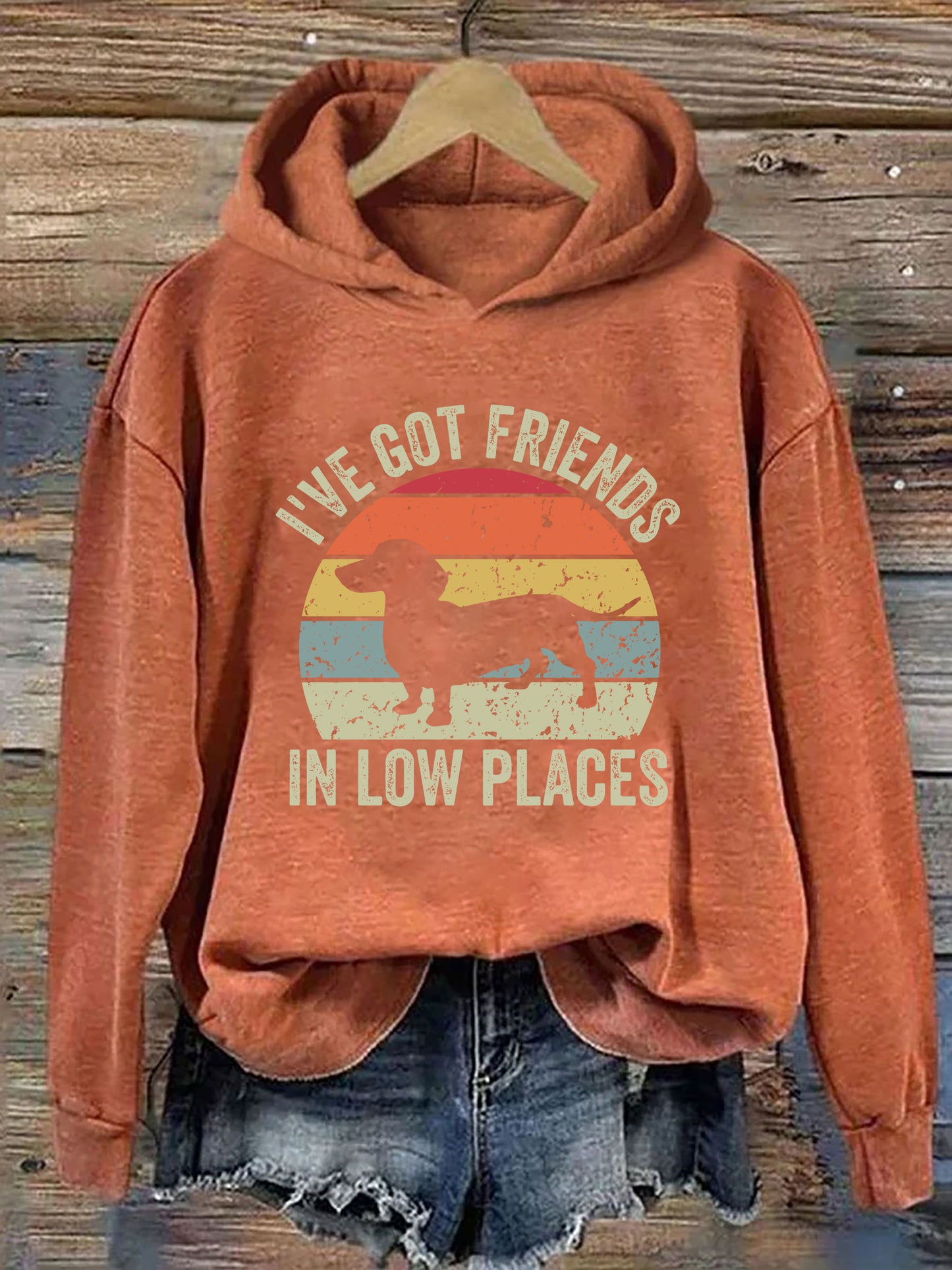 I've Got Friends In Low Places Hoodie