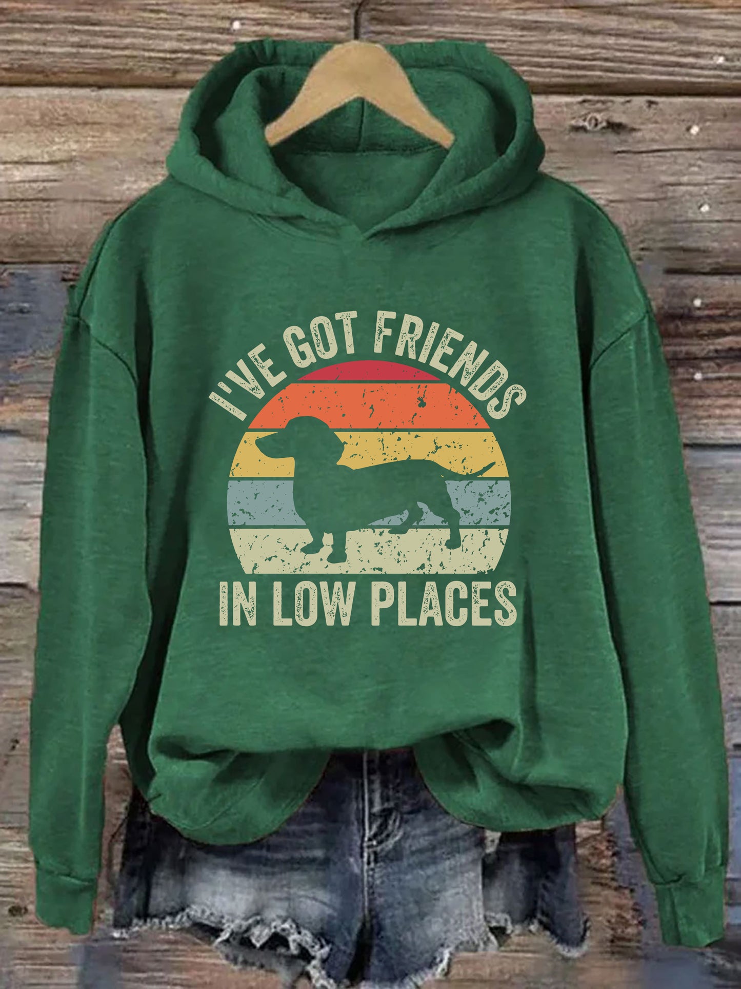 I've Got Friends In Low Places Hoodie