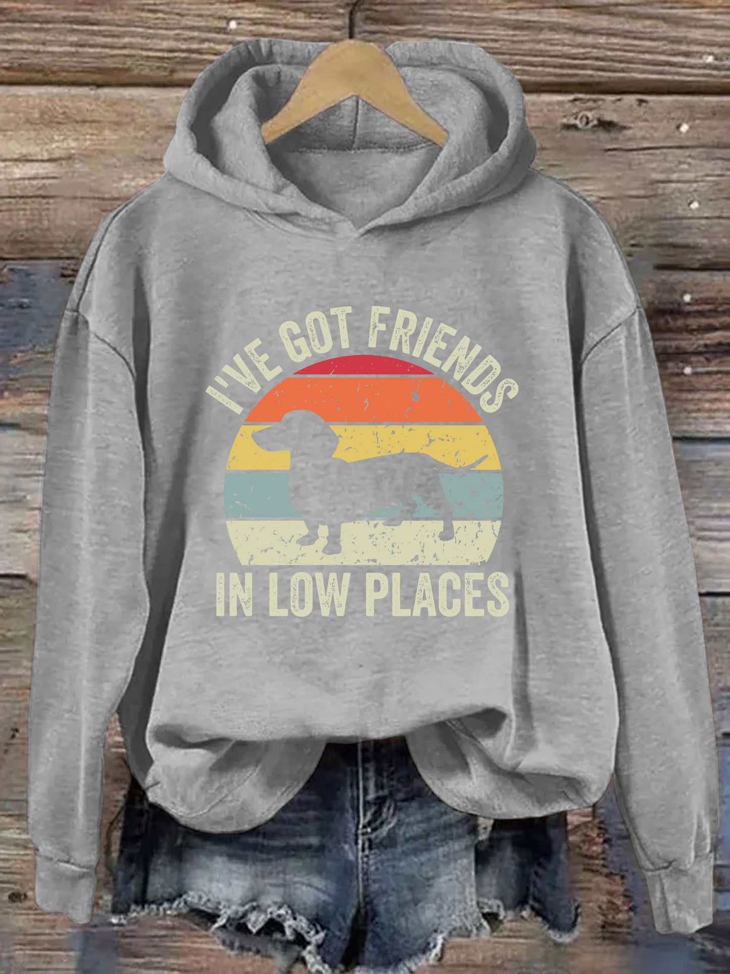 I've Got Friends In Low Places Hoodie