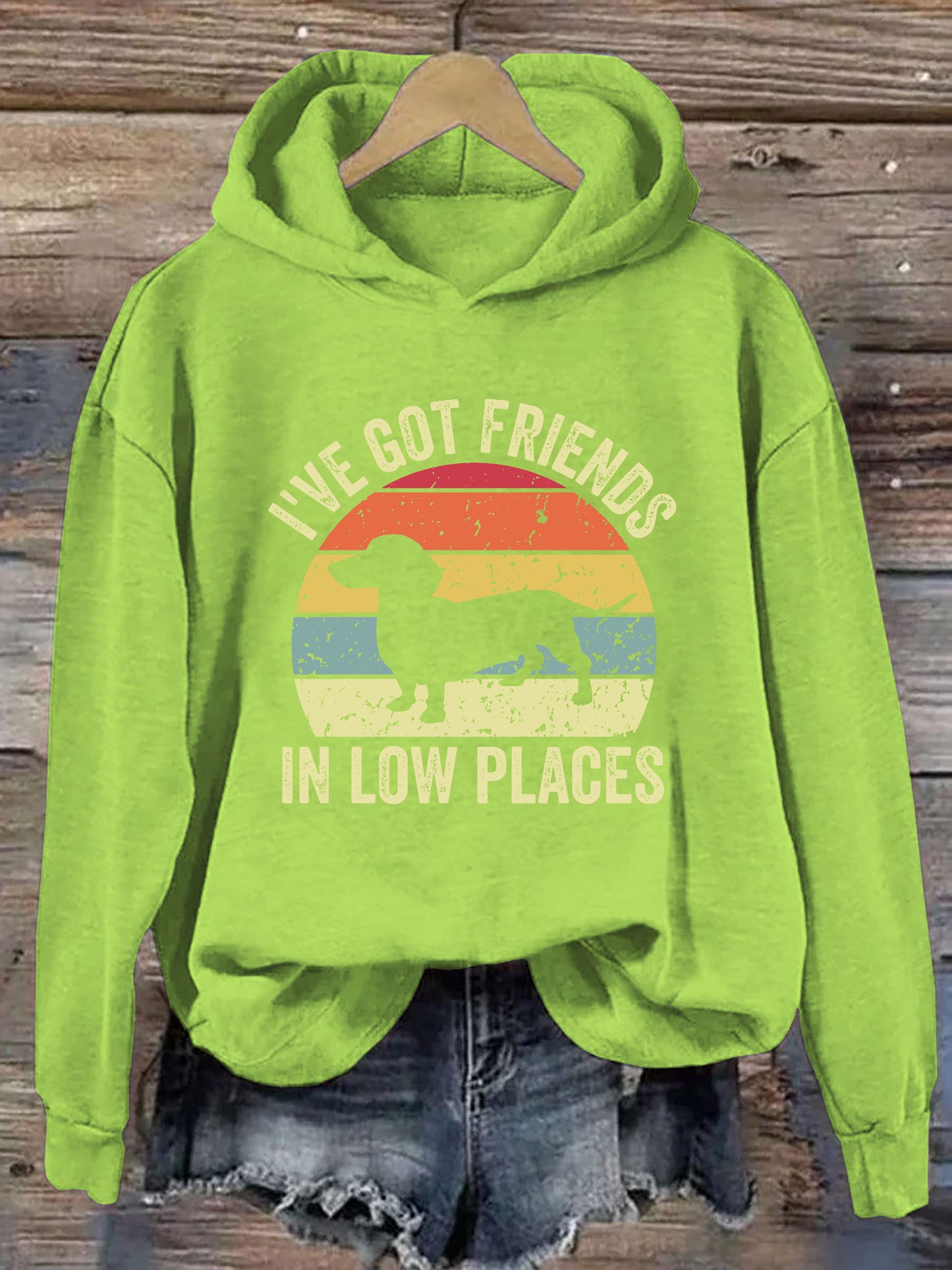 I've Got Friends In Low Places Hoodie