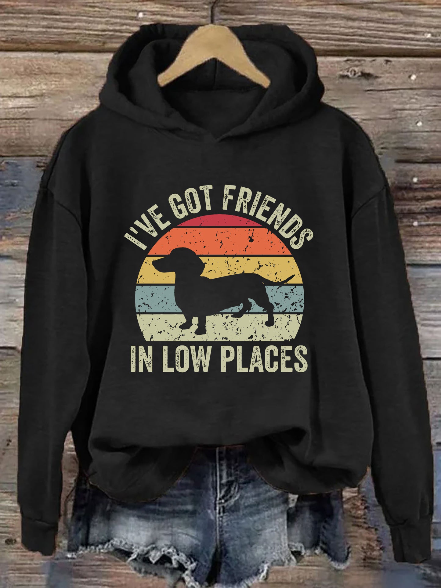 I've Got Friends In Low Places Hoodie